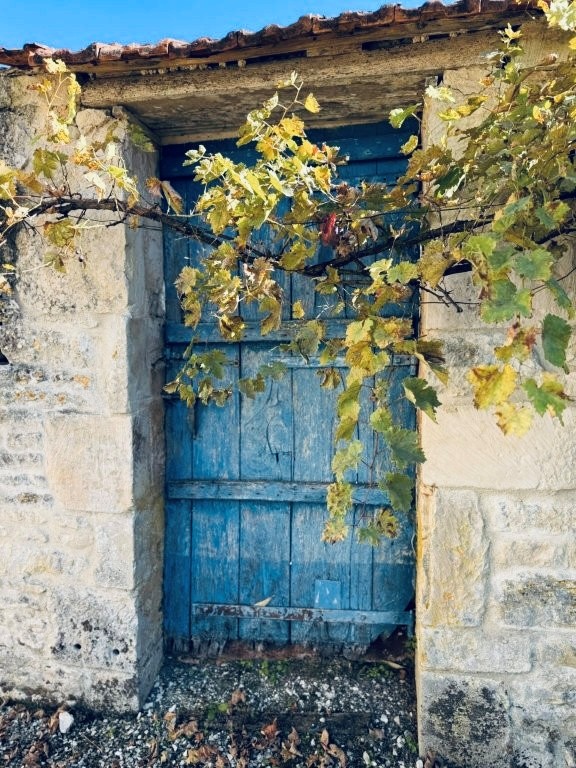 English speaking estate agent in Ruffec Charente