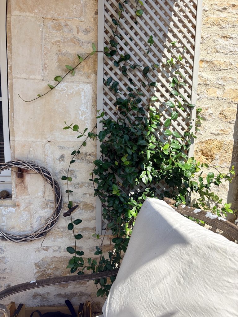 French garden ideas