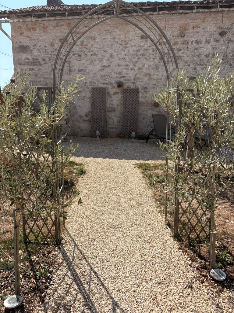 French country garden created on a budget with olive trees, gravel path and metal garden arch